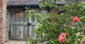 Middle Farm & Cottage Farm shop's entrance with rose bushes in bloom in the foreground.