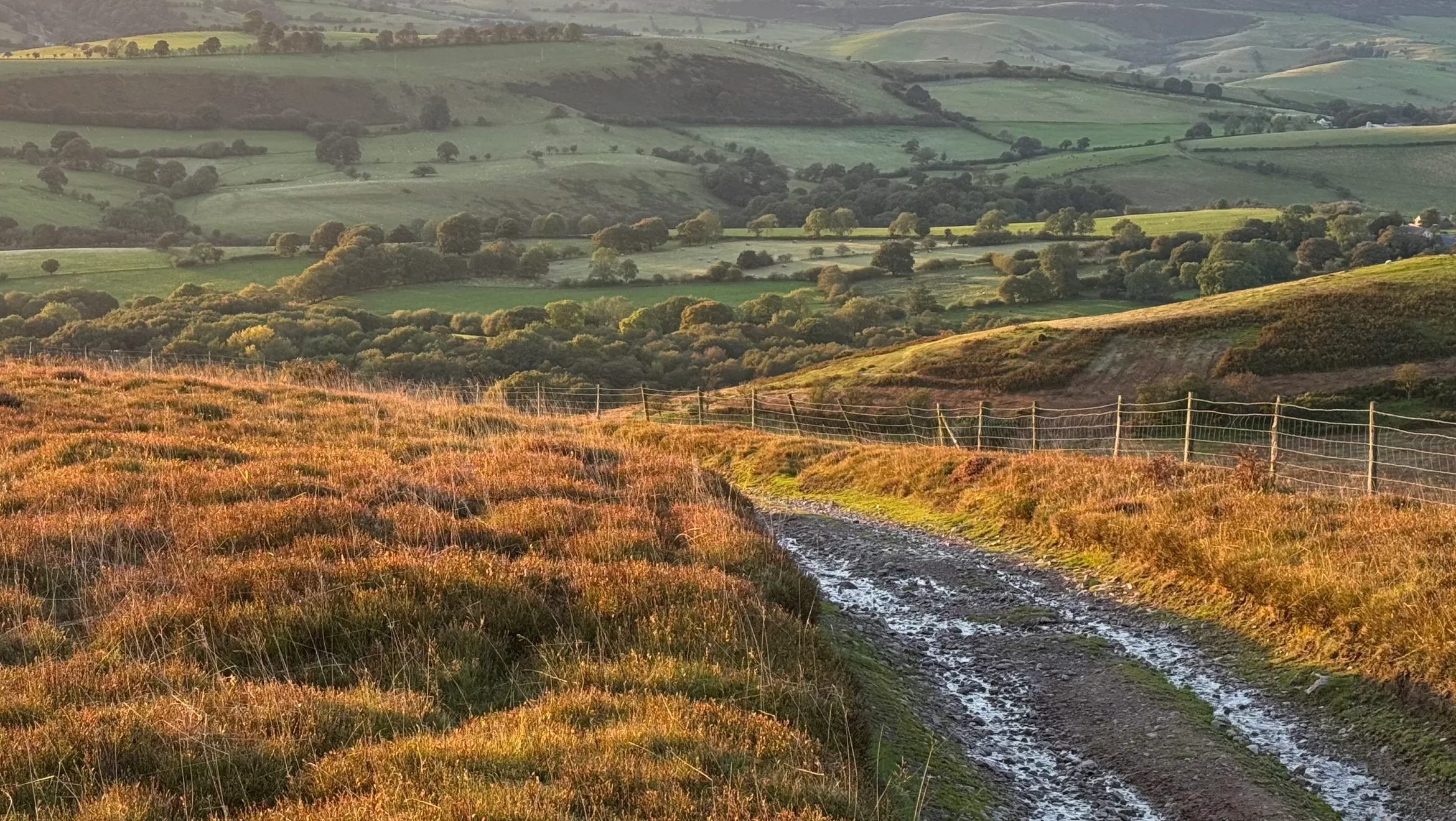 Path in countryside by Middle Farm
