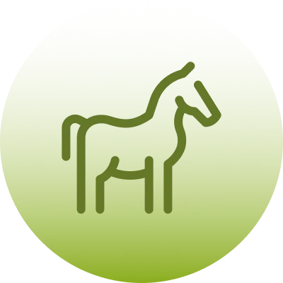 Icon horse